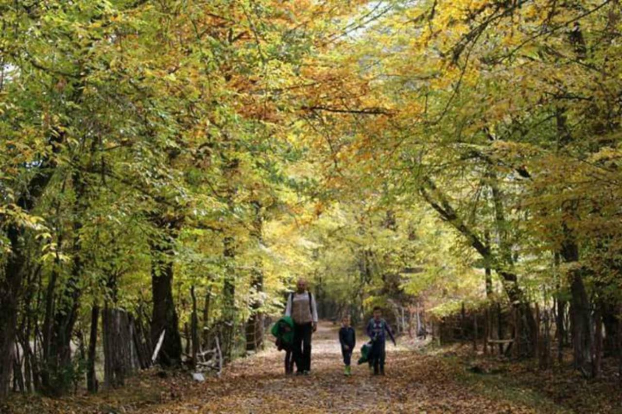 Seoski Turizam Zilicina Rogatica ภายนอก รูปภาพ